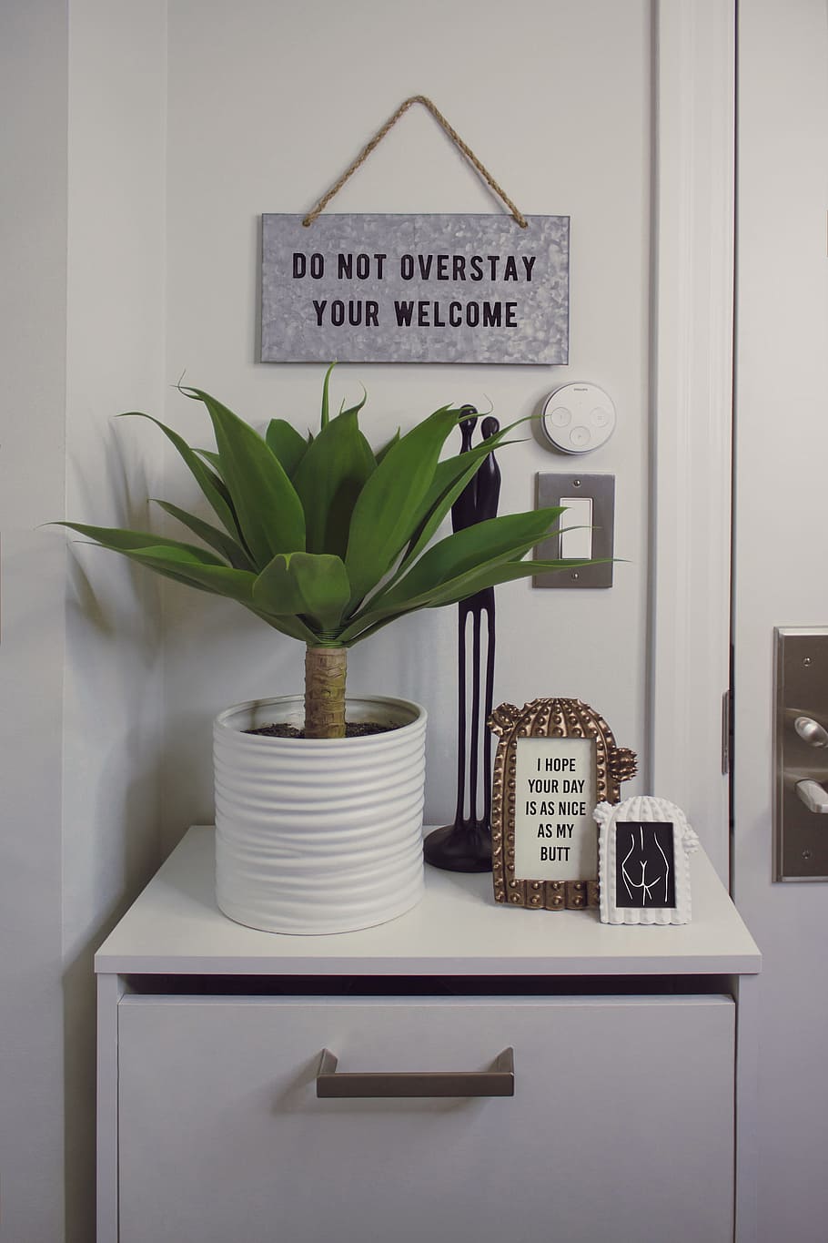 Green Dracaena Plant With White Pot on White Wooden Surface, business