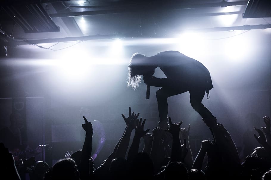 people, man, singing, singer, rock, concert, night, performance HD wallpaper