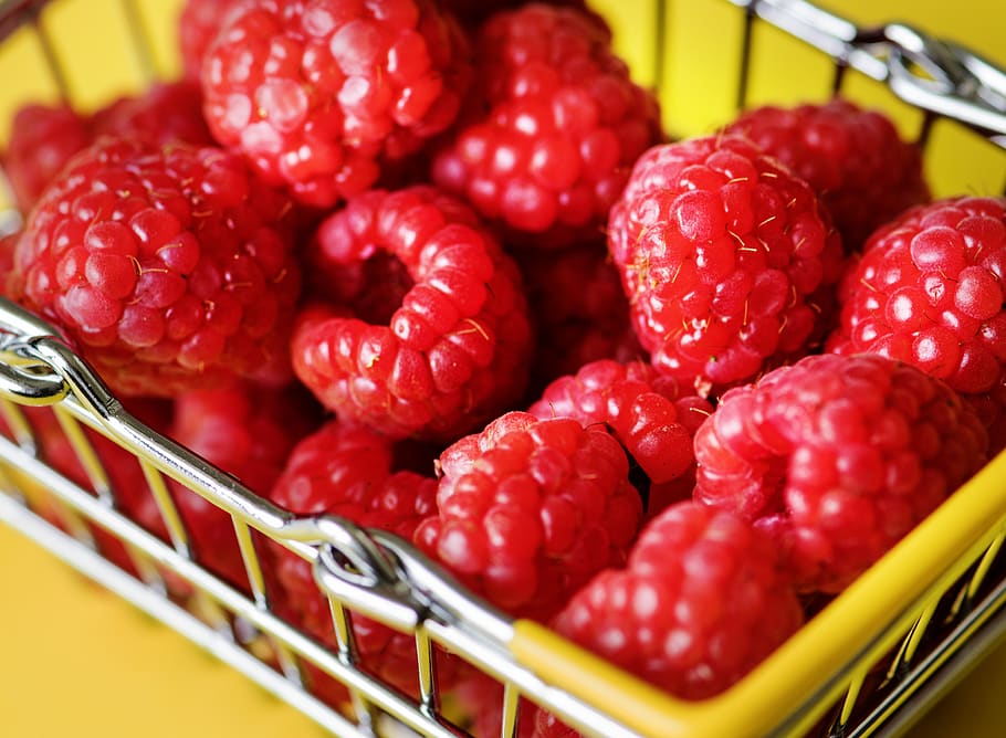 Pile of Cranberries, bright, bunch, close-up, delicious, fresh HD wallpaper