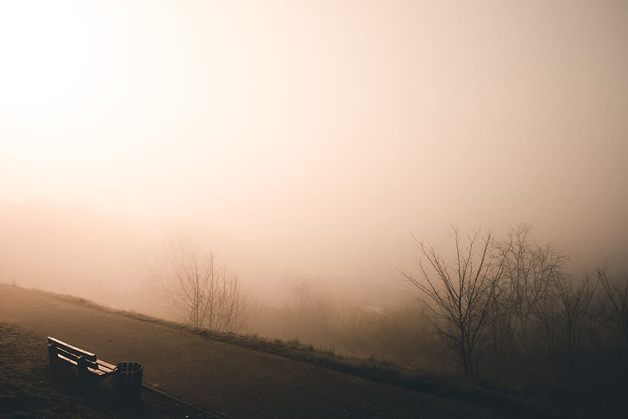 fog, landscape, sun, nature, haze, secret, mood, sunrise, tranquility HD wallpaper