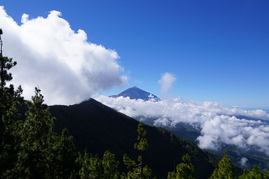 teide, clouds, forest, landscape, sky, cloud - sky, mountain HD wallpaper