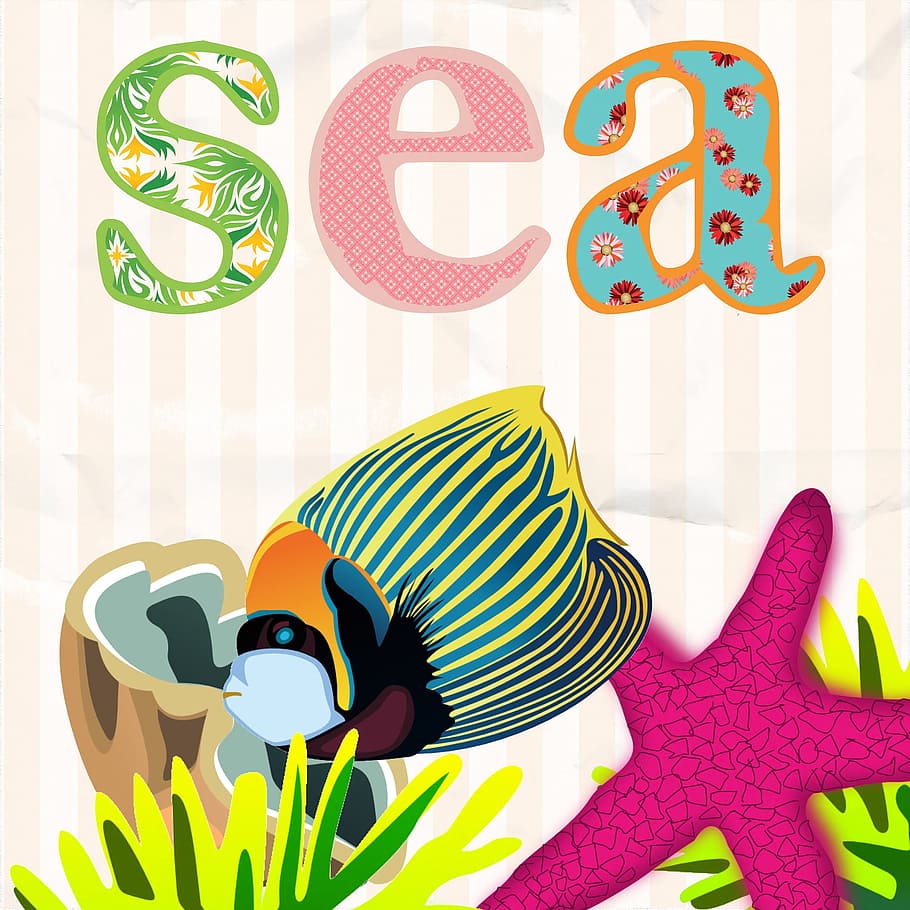 sea, creature, fish, star, animal, multi colored, representation HD wallpaper