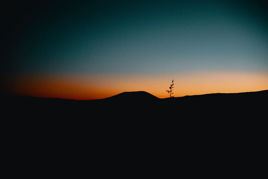 selective focus photography of tree, dawn, dusk, valley, silhouette