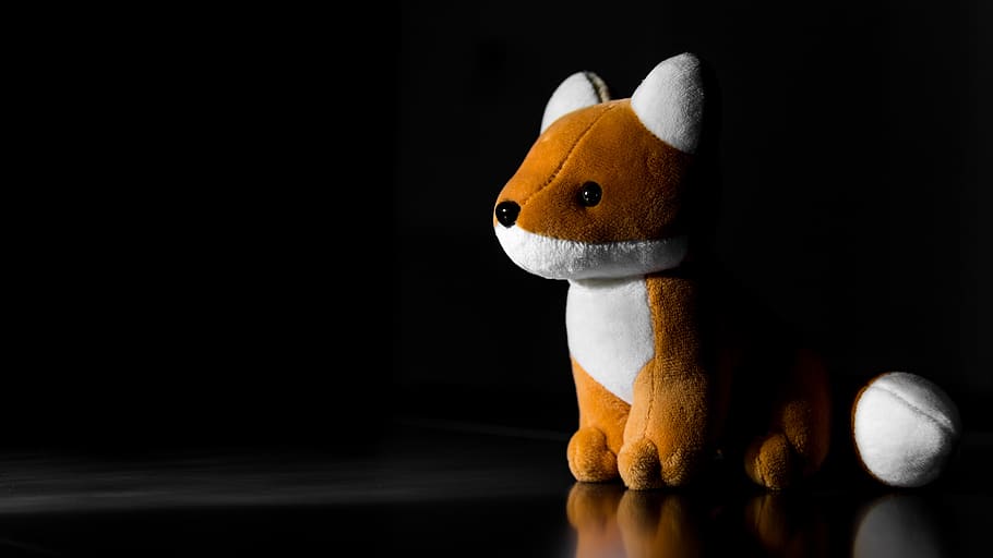 fox, fox plush toy, packshot, staging, stuffed toy, animal representation HD wallpaper