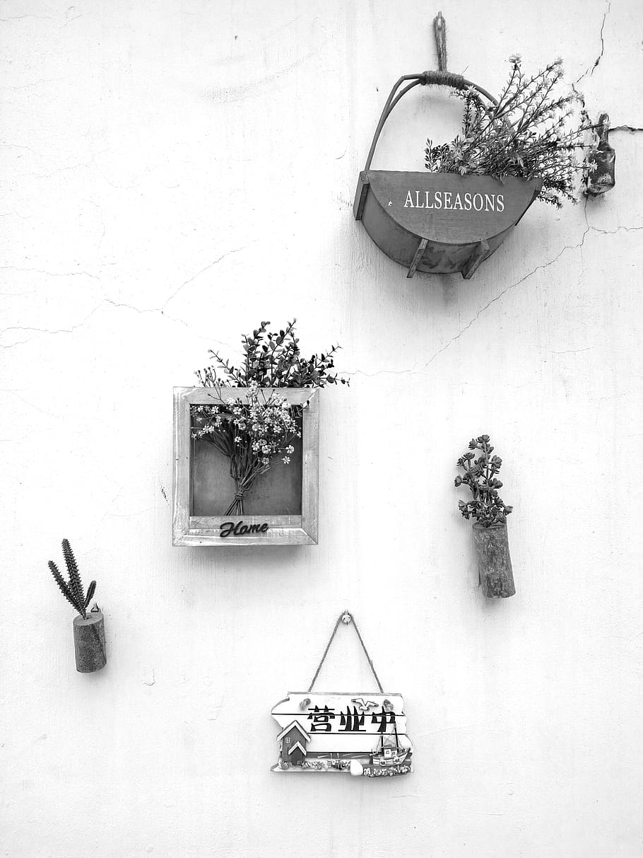 china, qingdao, decoration, phone photography, flowers, plants, HD wallpaper