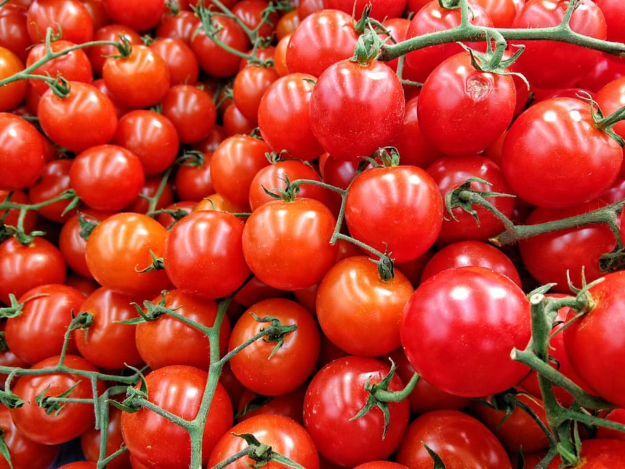 tomato, food, food and drink, healthy eating, red, large group of objects HD wallpaper
