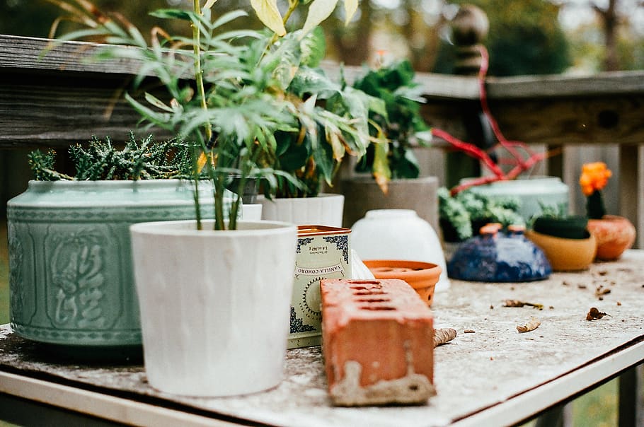 plants, table, backyard, pots, succulents, cactus, brick, no people HD wallpaper