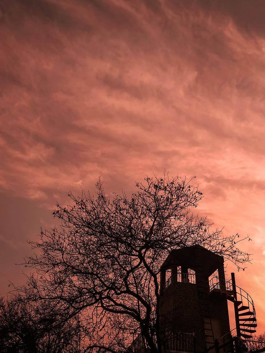 sunset, mount, tree, forest, sky, nature, park, sunset-park HD wallpaper