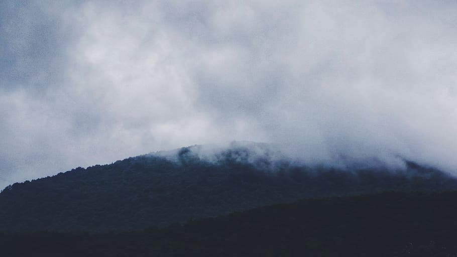 trees, clouds, mountain, fog, mist, scenics - nature, beauty in nature HD wallpaper