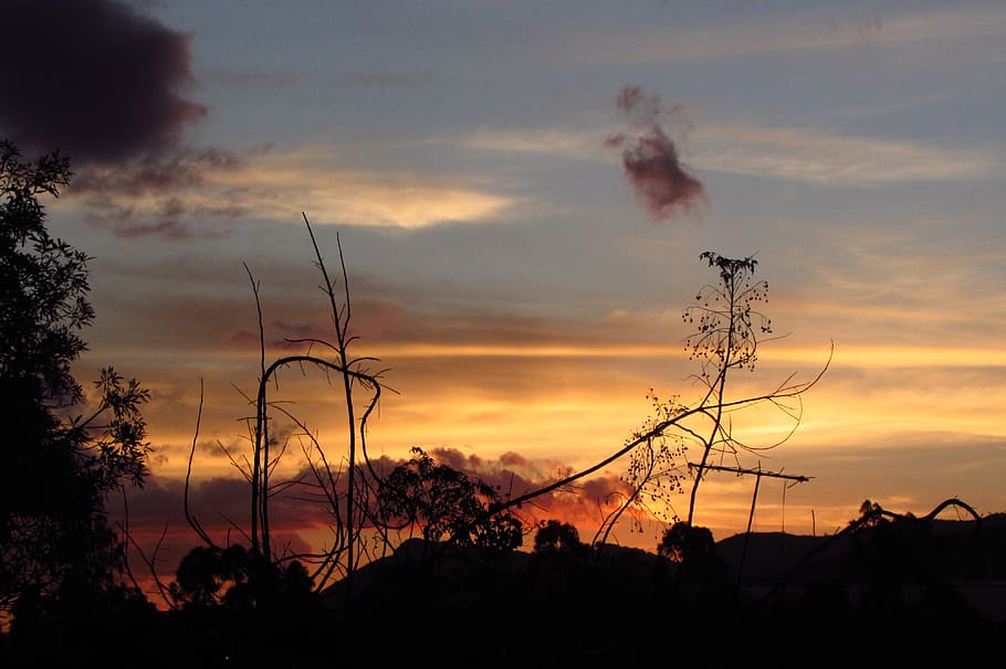 sunset, widescreen, sky, cloud - sky, silhouette, nature, beauty in nature HD wallpaper
