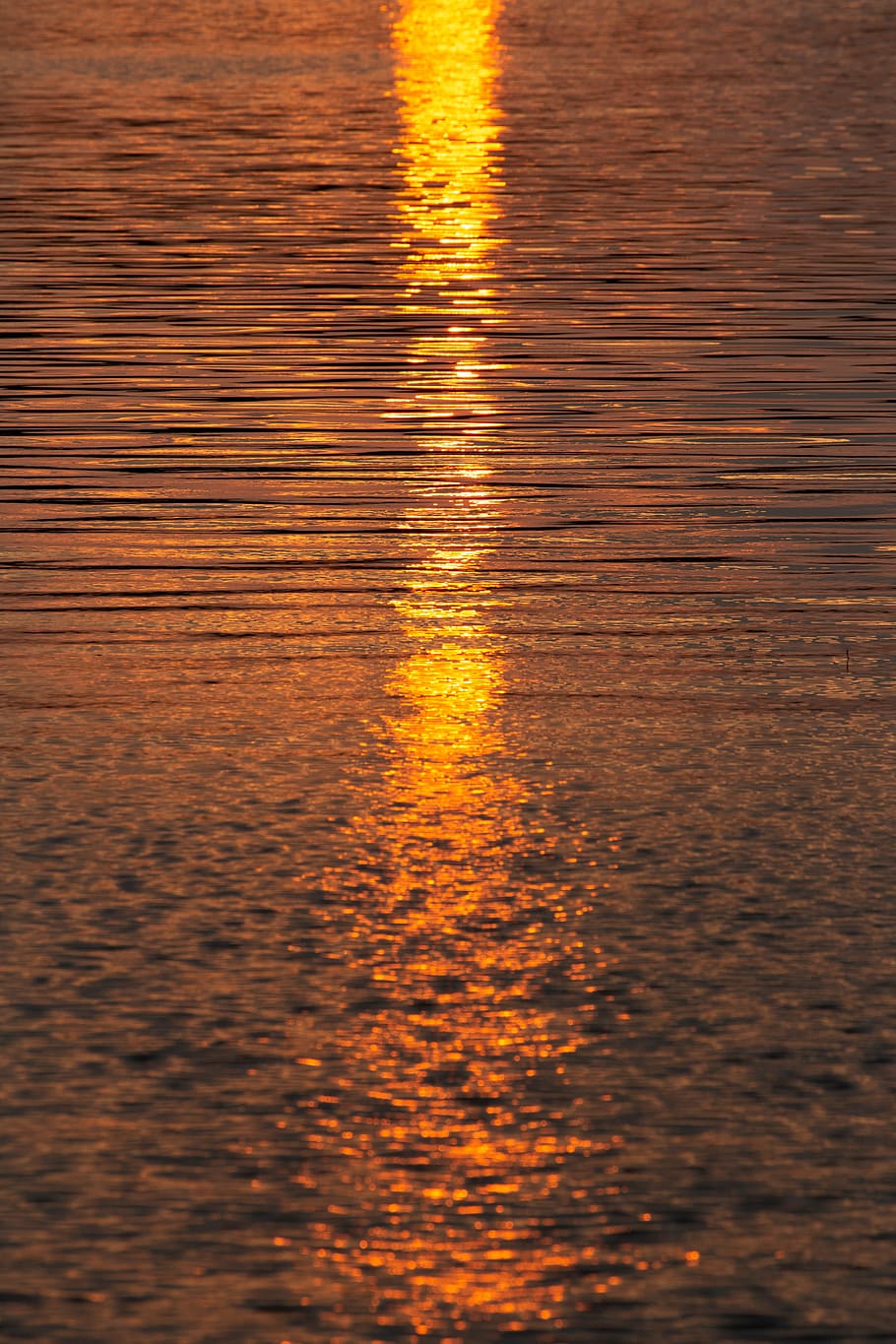 water, sunset, sunlight, waves, nature, outdoors, dusk, lake HD wallpaper