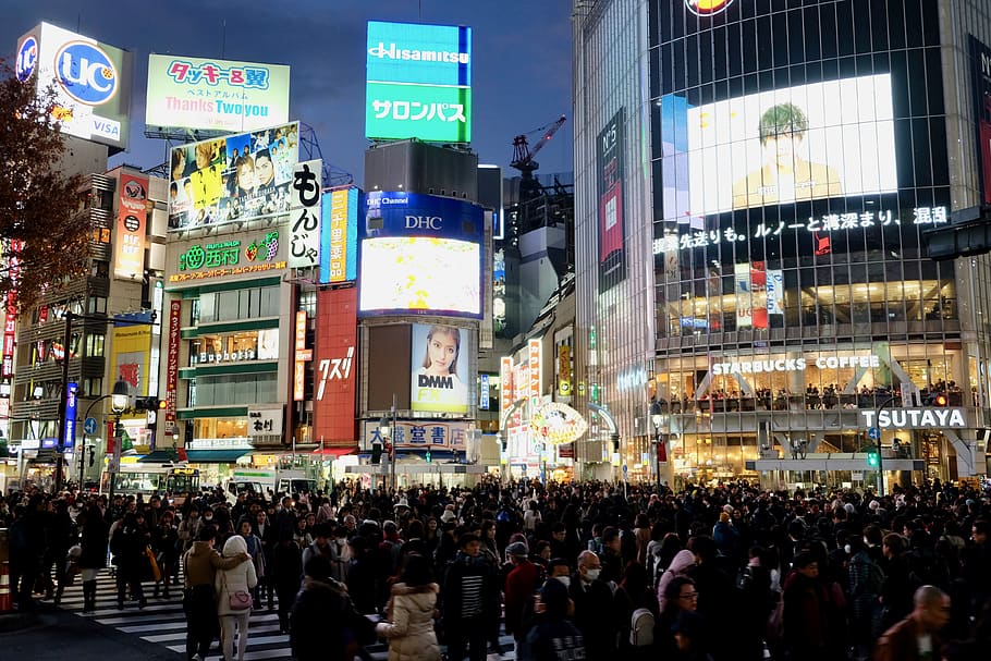 crowd, city, scramble road, intersection, shibuya, tokyo, urban, HD wallpaper