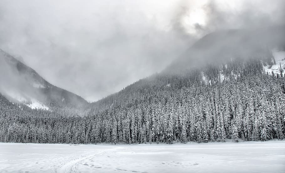bc, british columbia, canada, clean, clouds, cloudy, cold, forest HD wallpaper