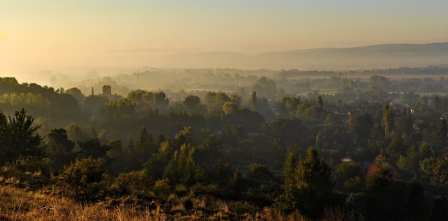 view, landscape, panorama, sunrise, morning, fog, bolechowice HD wallpaper