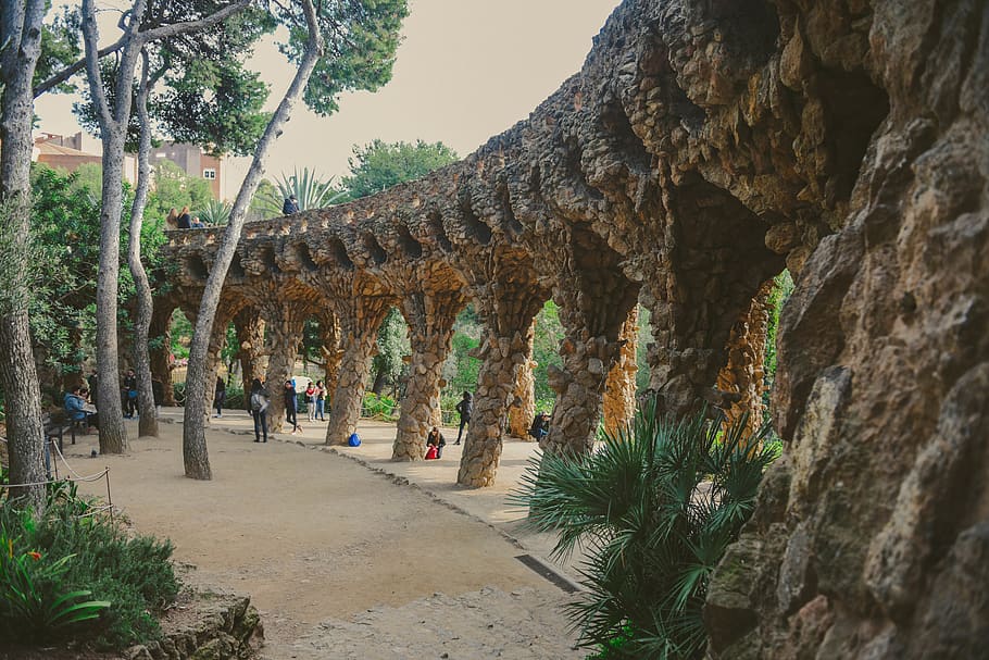 plant, tree, architecture, real people, day, built structure HD wallpaper