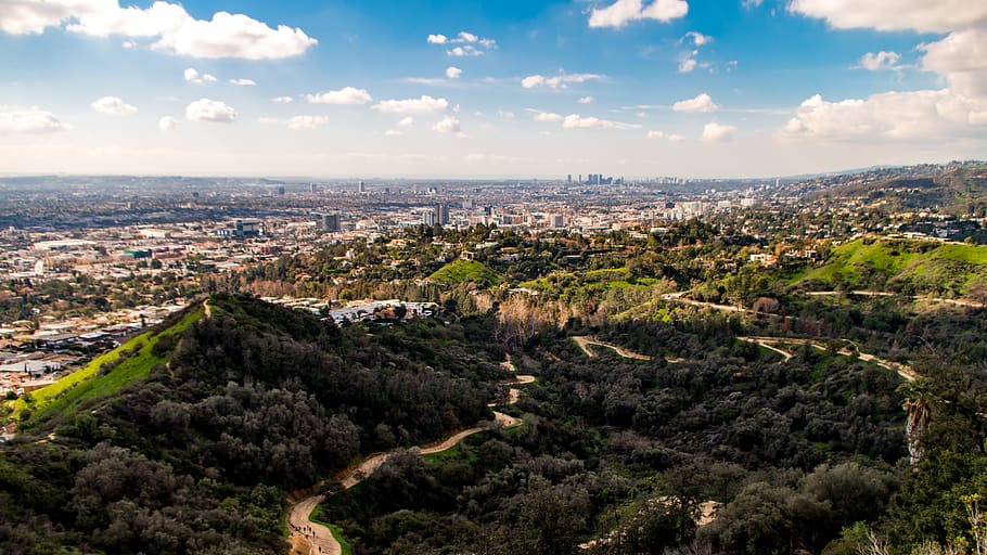 los angeles, united states, griffith observatory, park, trail, HD wallpaper