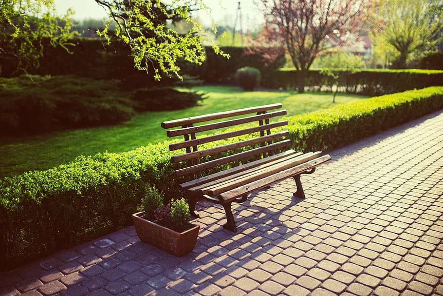 Bench in the garden, backyard, flora, flower, footpath, grass HD wallpaper