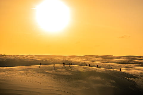 sun and dessert, nature, outdoors, sand, sunlight, sky, human HD wallpaper