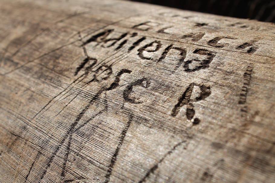 redwood, tree, carving, wood - material, selective focus, close-up HD wallpaper