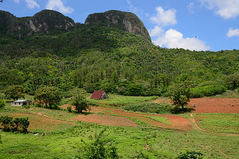 cuba, vinales, field, mogotes, countryside, plant, scenics - nature HD wallpaper