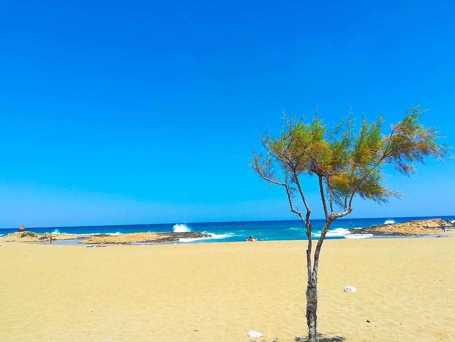 crete, greece, lonely beach tree, sky, sea, water, land, blue HD wallpaper