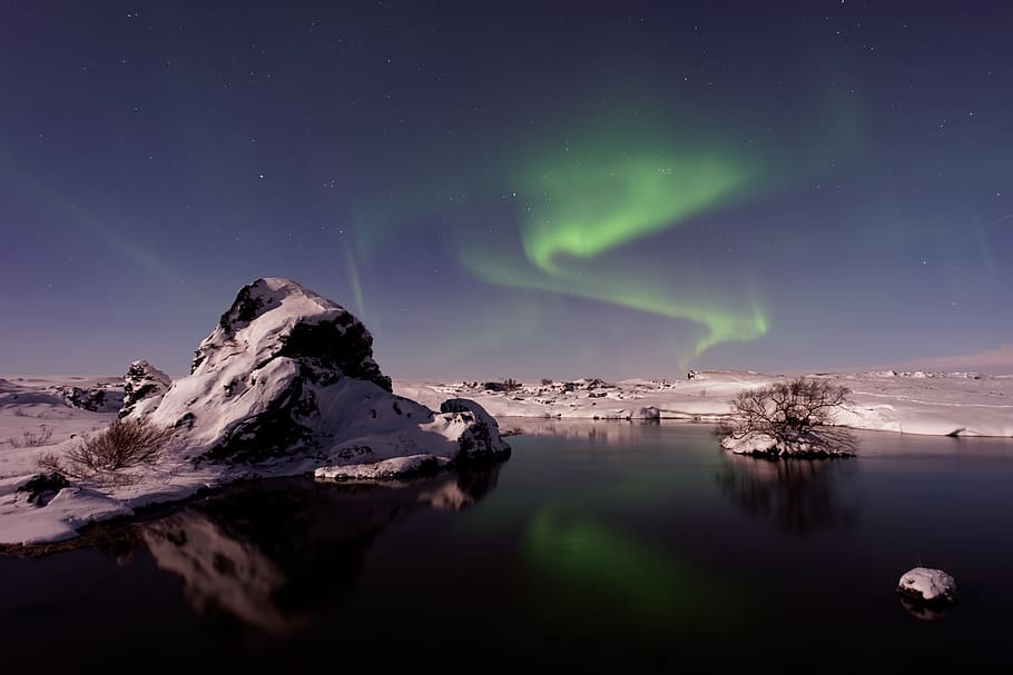 aurora, green, sky, tree, plants, nature, highland, snow, winter HD wallpaper