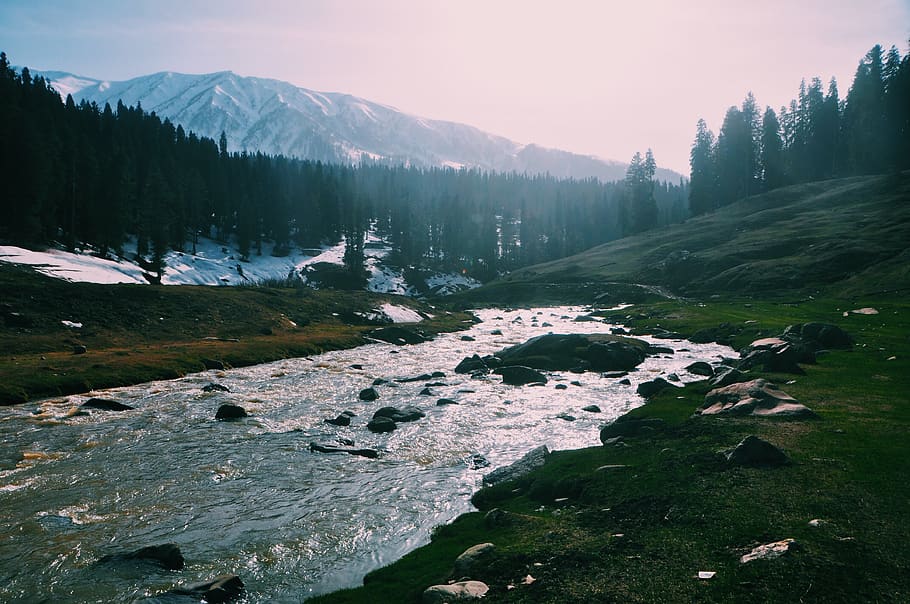 gulmarg, trees, mountain, river, wallpaper, scenics - nature, HD wallpaper