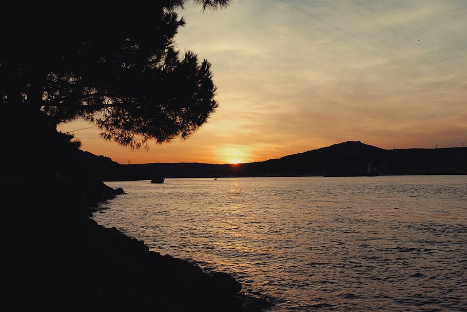 tree, trees, sun, sunset, sunny, turkey, istanbul, nature, sea HD wallpaper