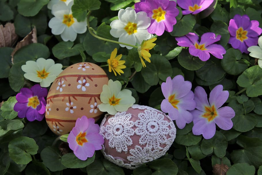spring flowers, prymule, easter, easter eggs, meadow, colorful, HD wallpaper