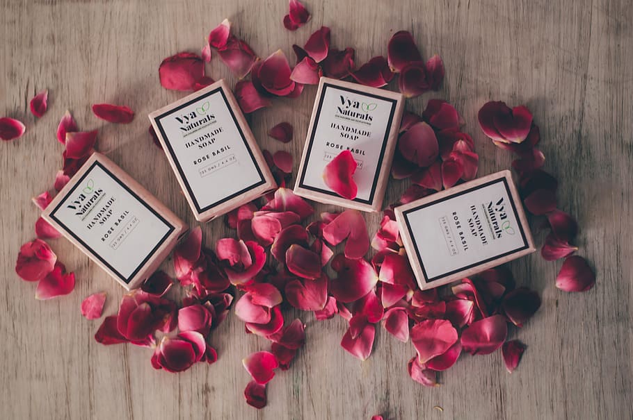 red rose petals, plant, text, flower, beauty in nature, flowering plant HD wallpaper