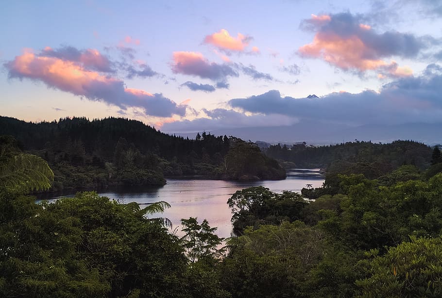 River and Trees Under Blue Sky, clouds, daytime, jungle, landscape HD wallpaper