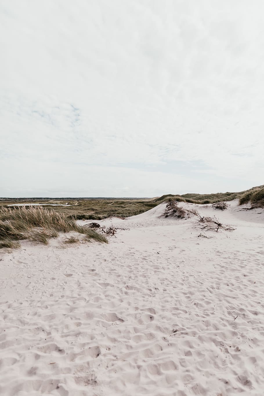 green grass with white sand, landscape, dune, field, cloudy, nature HD wallpaper