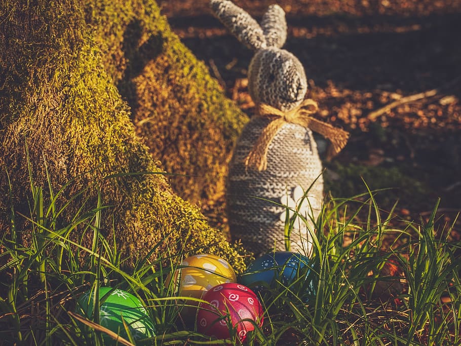 easter, egg, hare, easter bunny, decoration, easter eggs, colored HD wallpaper