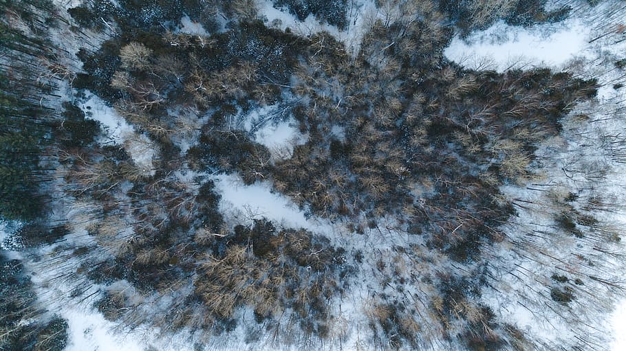 aerial seashore waves, nature, outdoors, weather, scenery, texture HD wallpaper