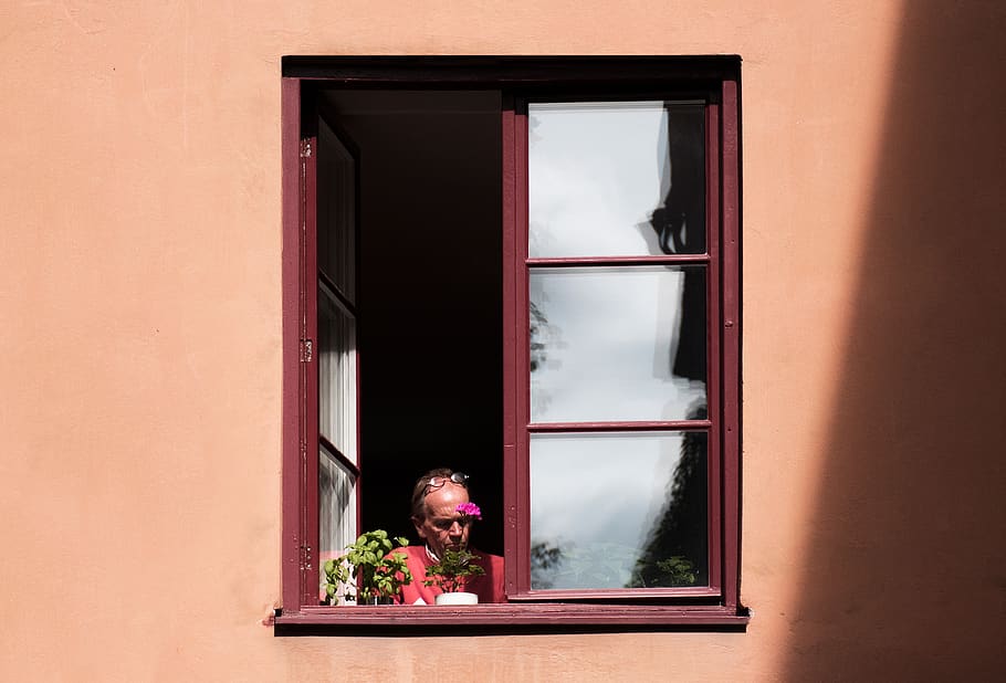 man standing beside window during daytime, flower, glass - material HD wallpaper