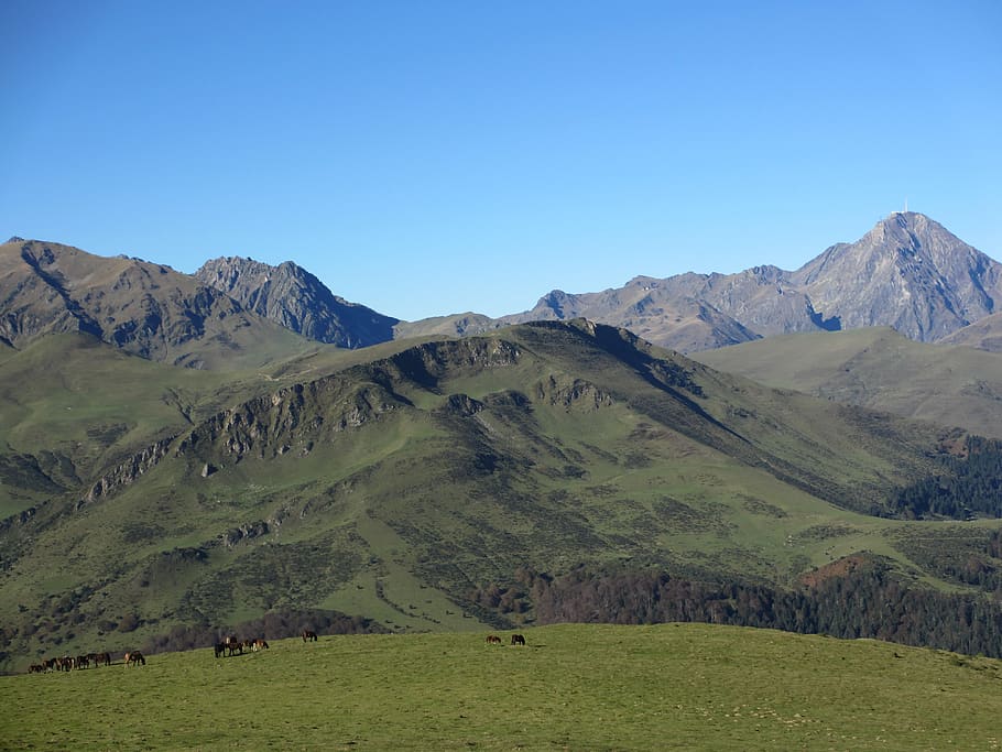 pasture, payolle, pyrénées, mountain, scenics - nature, tranquil scene HD wallpaper