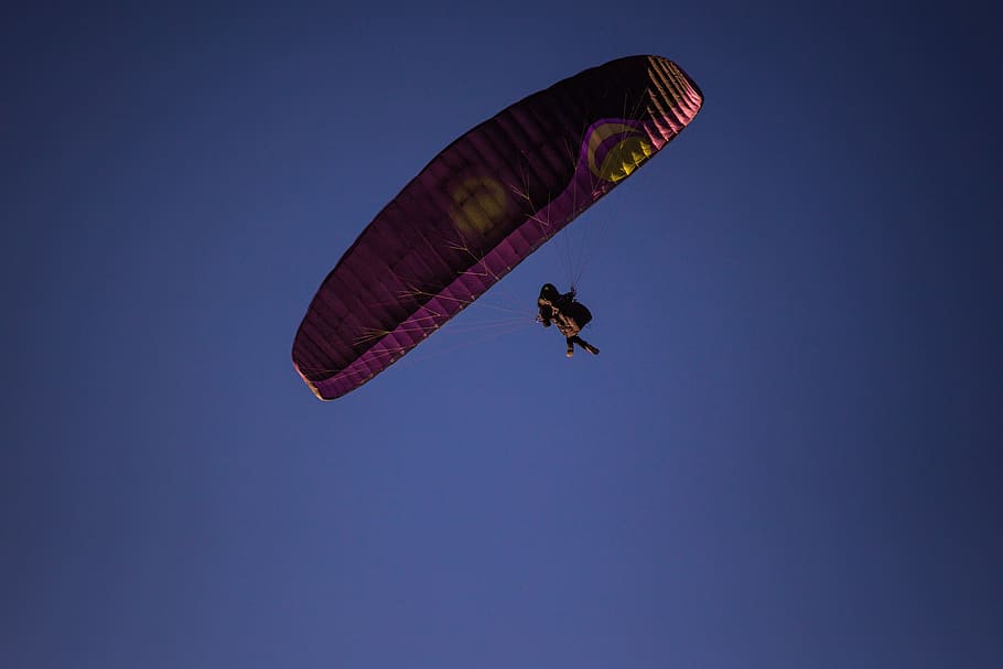 paragliding, wing, flight, extreme sports, adventure, sky, parachute HD wallpaper