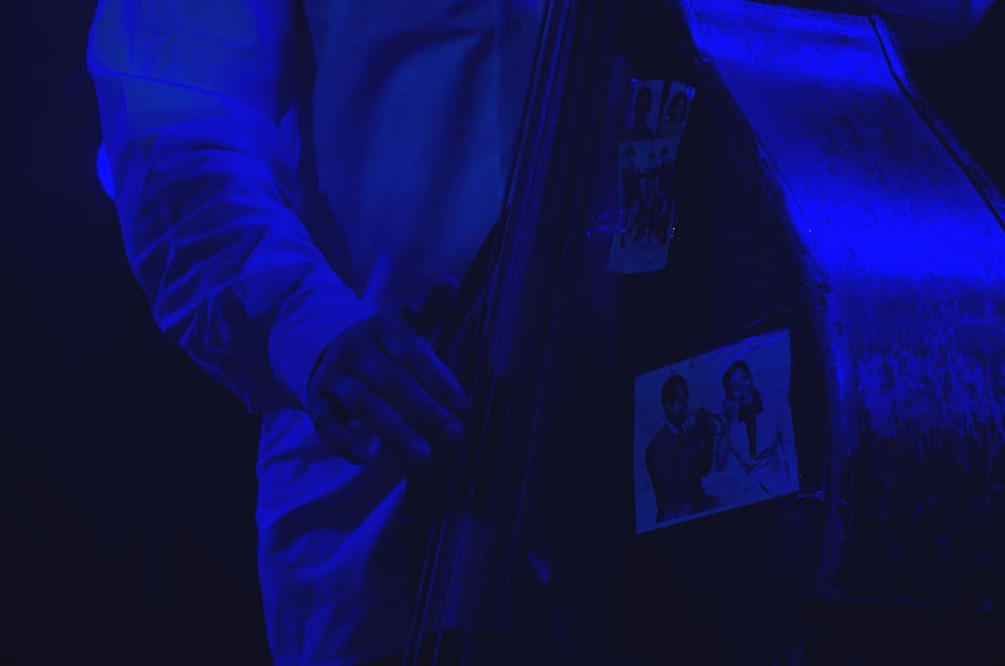 strings, musician, playing, instrument, jazz, contrabass, double bass HD wallpaper