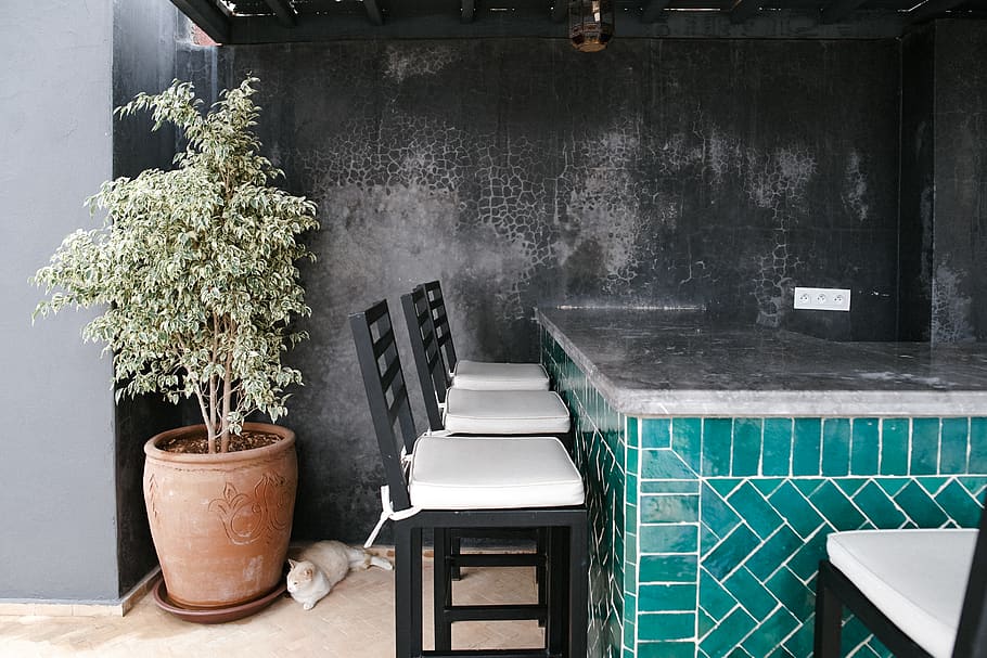 three black-and-white bar stools ahead, potted plant, morocco HD wallpaper
