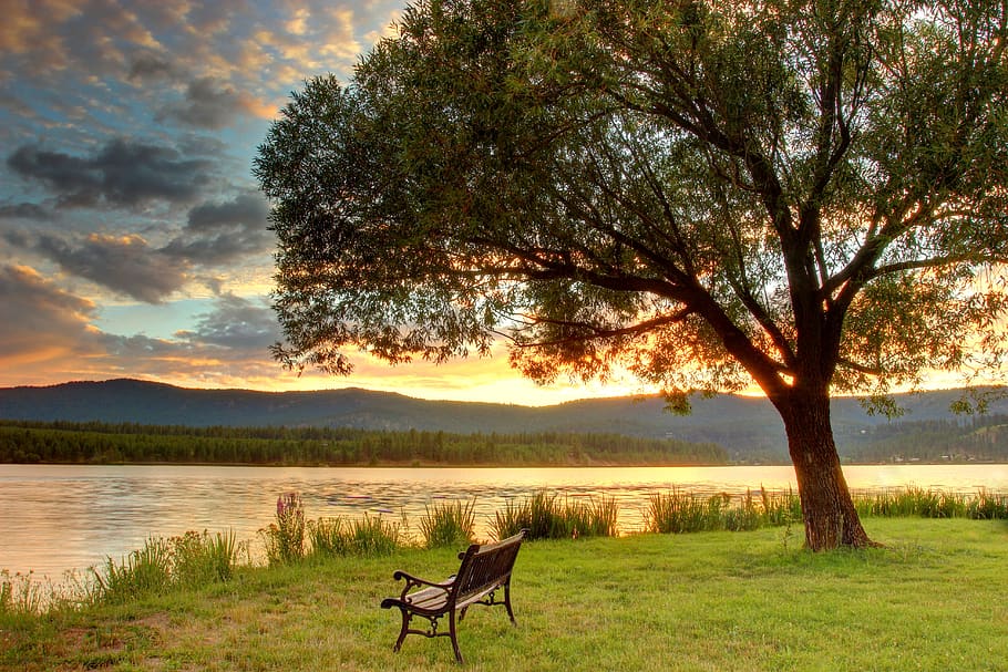 summer, lake, relaxing, park, evening, sunset, chill, warm, HD wallpaper
