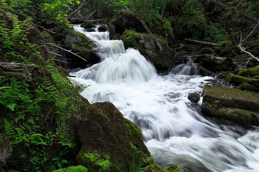 canada, ontario, moss, green, limestone, water, waterfall, rushing HD wallpaper