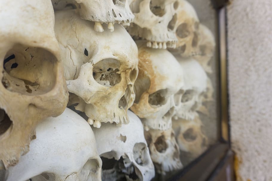 human skull decor, choeung ek genocidal center, cambodia, phnom penh HD wallpaper