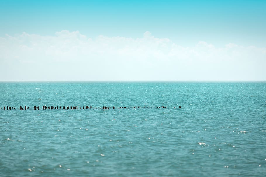 calm seas under clear skies, water, horizon, sky, horizon over water HD wallpaper
