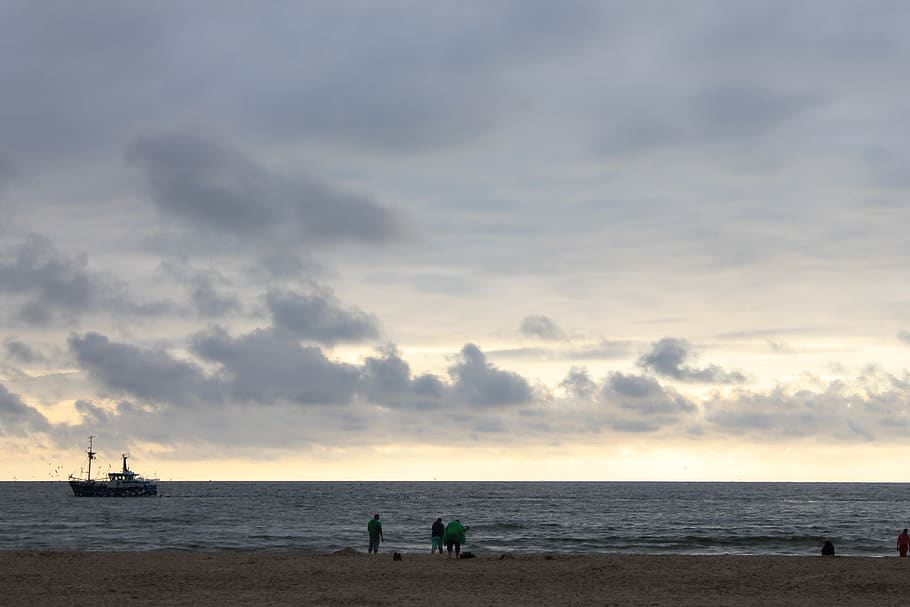 texel, beach, netherlands, north sea, holiday, sand, coast HD wallpaper