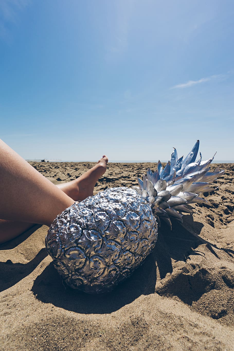 gray pineapple on brown sand, plant, person, human, turtle, animal HD wallpaper