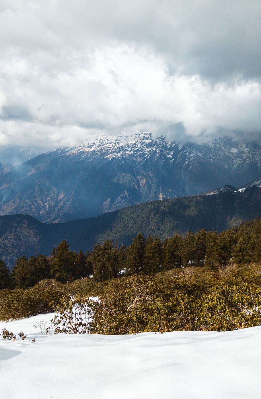 nature, mountain, outdoors, mountain range, slope, ice, plant HD wallpaper