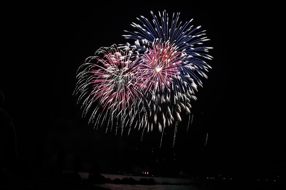 multicolored fireworks display, firework display, night, exploding HD wallpaper