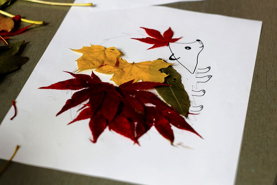 ukraine, lviv, leaf, autumn, art, plant part, change, red, close-up HD wallpaper