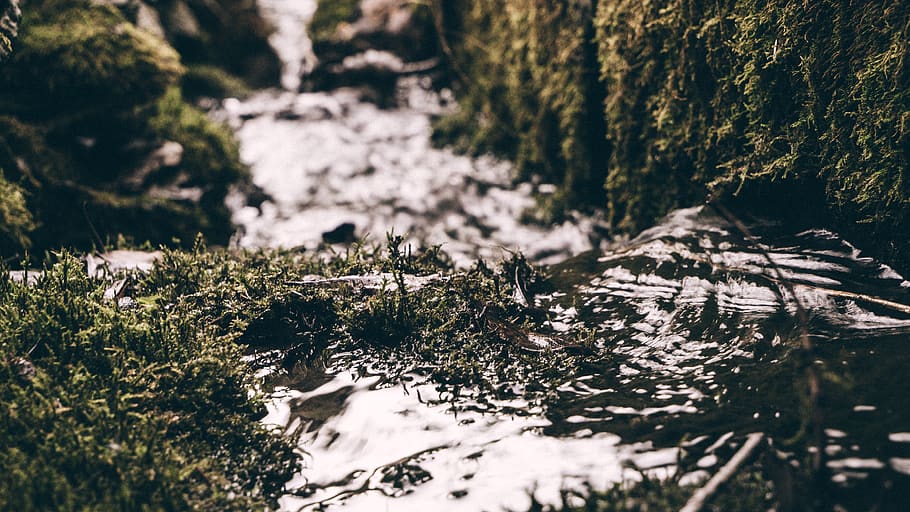 River Photo, cold, daylight, environment, grass, landscape, moss HD wallpaper