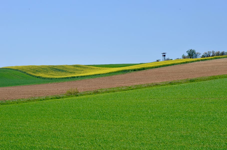 spring, fields, agriculture, sky, rural, arable land, hill HD wallpaper